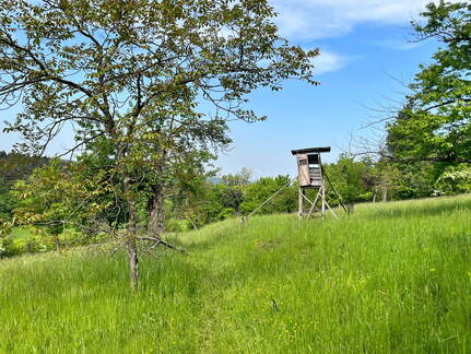 22-05-08 11-19-47 0768